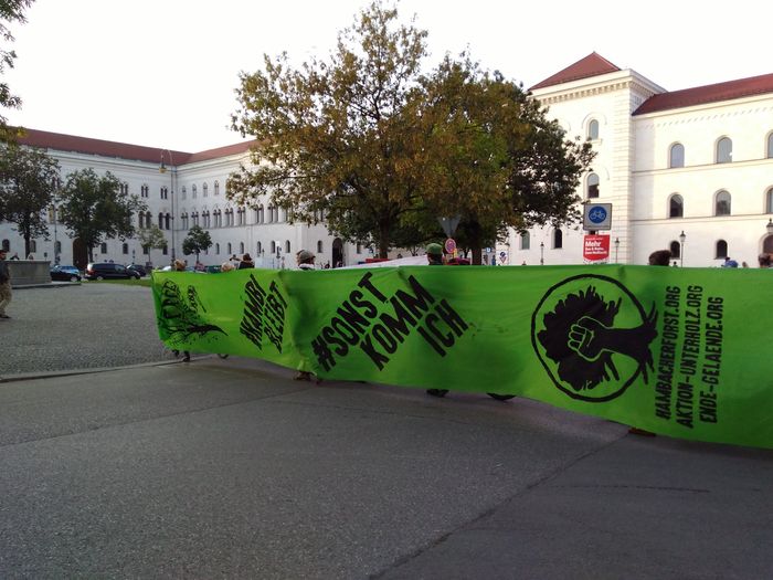 Soli-Demo für Hambacher Wald