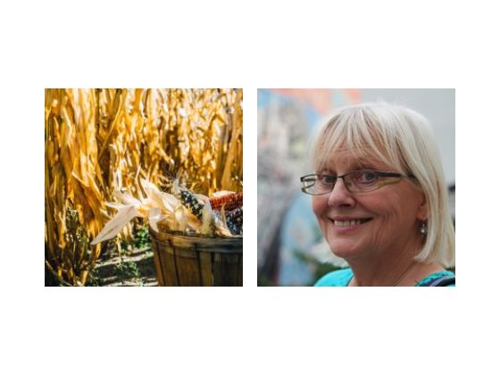 Mobilität wider Willen. Wie die EU Agrarpolitik Menschen zur Mobilität zwingt.