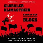 Antikapitalistischer Block auf dem Klimastreik