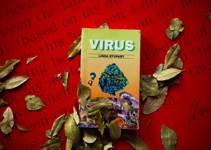 Messy History Lessons