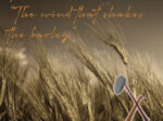 Filmabend: „The wind that shakes the barley“ (2006)