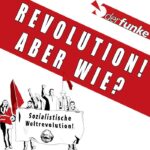 Warum brauchen wir eine Revolution?