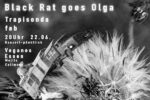 Black Rat goes Olga #38